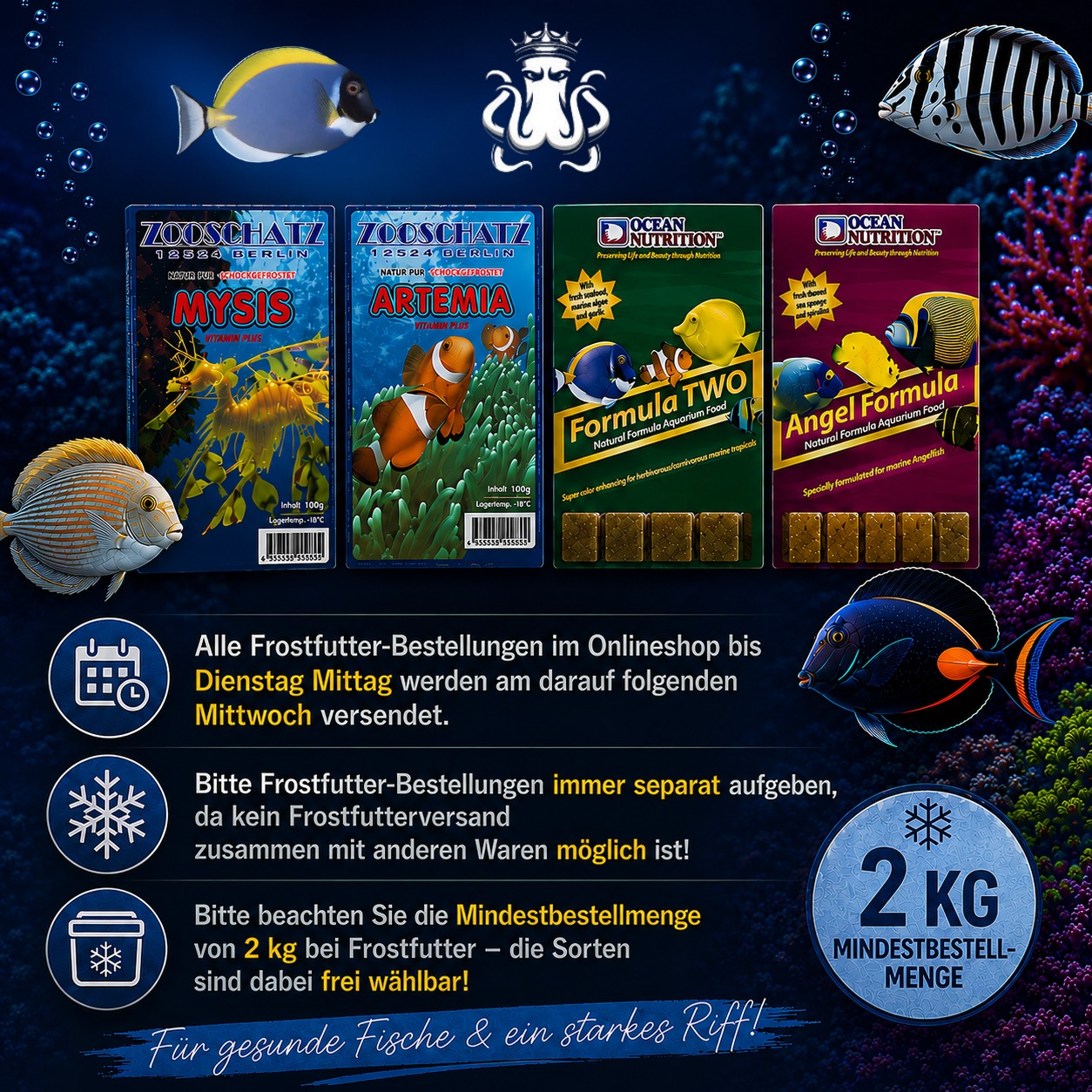 Aquarienreinigung