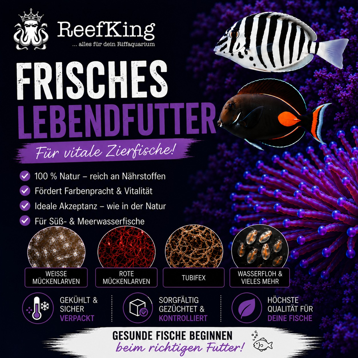 Wassernachfüllung