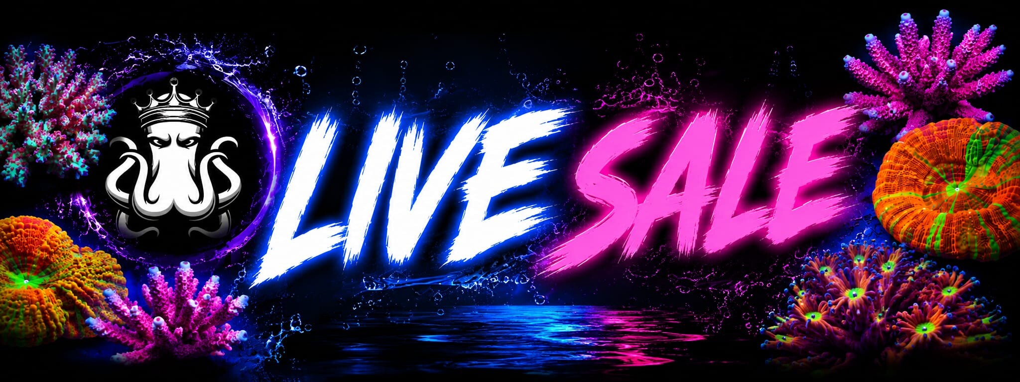 Hier gehts zum Live Sale 