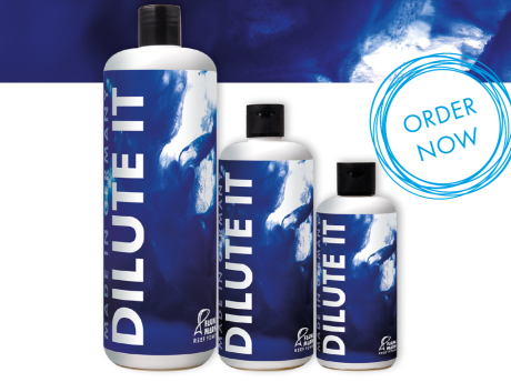 Dilute It - Verd&uuml;nnungsl&ouml;sung - 1000 ml