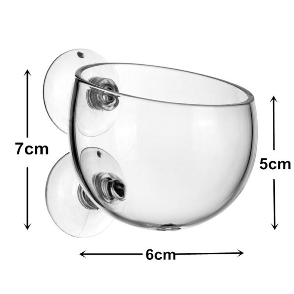 ReefKing Glastasse für Anemonen und Korallenableger