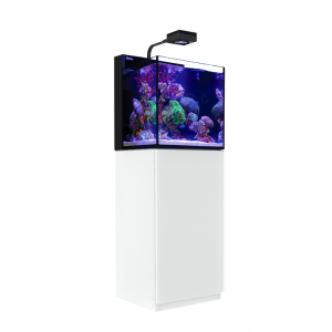 Red Sea MAX NANO G2 Cube inkl. weißer Unterschrank