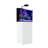 Red Sea MAX NANO G2 Cube inkl. weißer Unterschrank