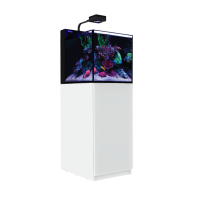 Red Sea MAX NANO G2 XL inkl. weißer Unterschrank