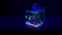 Red Sea MAX NANO G2 XL inkl. weißer Unterschrank