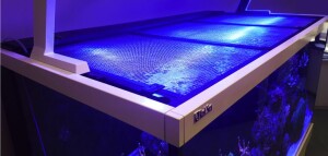 Aquariennetzabdeckung 60"/150cm (inkl. 1 Universalausschnitt)