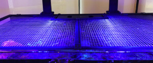 Aquariennetzabdeckung 60"/150cm (inkl. 1 Universalausschnitt)