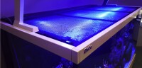 Aquariennetzabdeckung 60"/150cm (inkl. 1 Universalausschnitt)