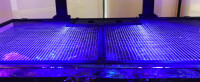 Aquariennetzabdeckung 60"/150cm (inkl. 1 Universalausschnitt)