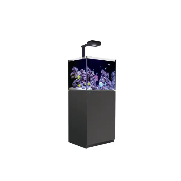 Red Sea REEFER™ 170 G2+ Deluxe System - Schwarz (incl.1 x RL 90 & Mount arm)