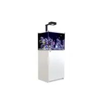 Red Sea REEFER™ 170 G2+ Deluxe System - Weiß (incl.1 x RL 90 & Mount arm)