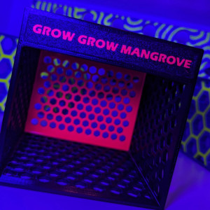 HomeReef Grow Grow Mangrove - Mangrovenbox