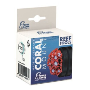 Fauna Marin Coral Mount Ø 4cm - Magnet für...