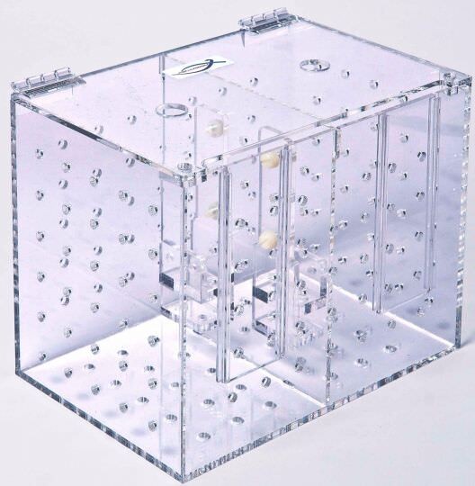 Aquarioom Doppel Eingewöhnungsbecken