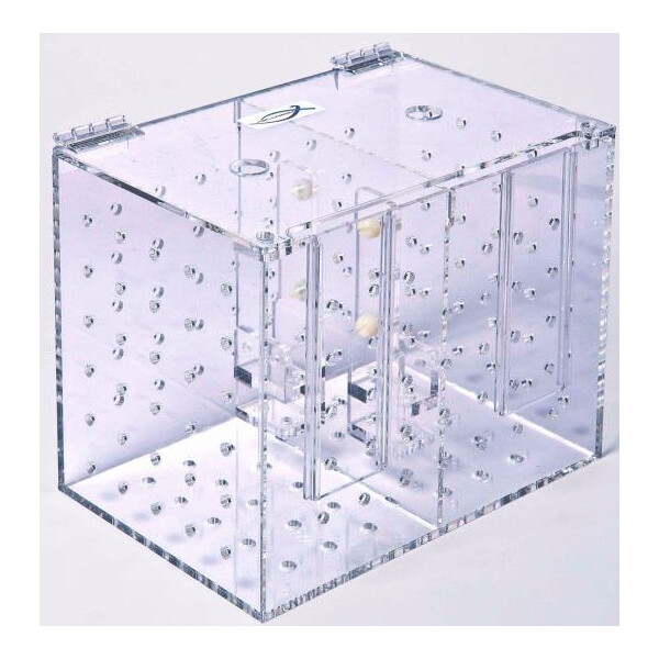 Aquarioom Doppel Eingewöhnungsbecken