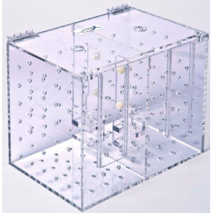 Aquarioom Doppel Eingewöhnungsbecken