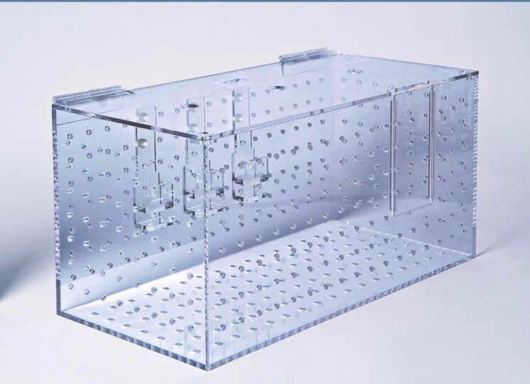 Aquarioom Eingewöhnungsbecken XL