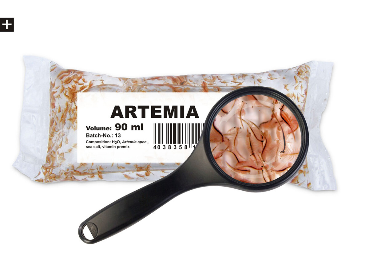 Artemia 90ml Lebendfutter box
