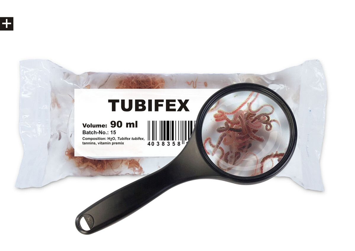 Tubifex 90ml Lebendfutter