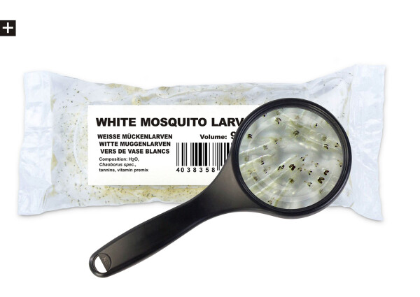 Weiße Mückenlarven 90ml Lebendfutter