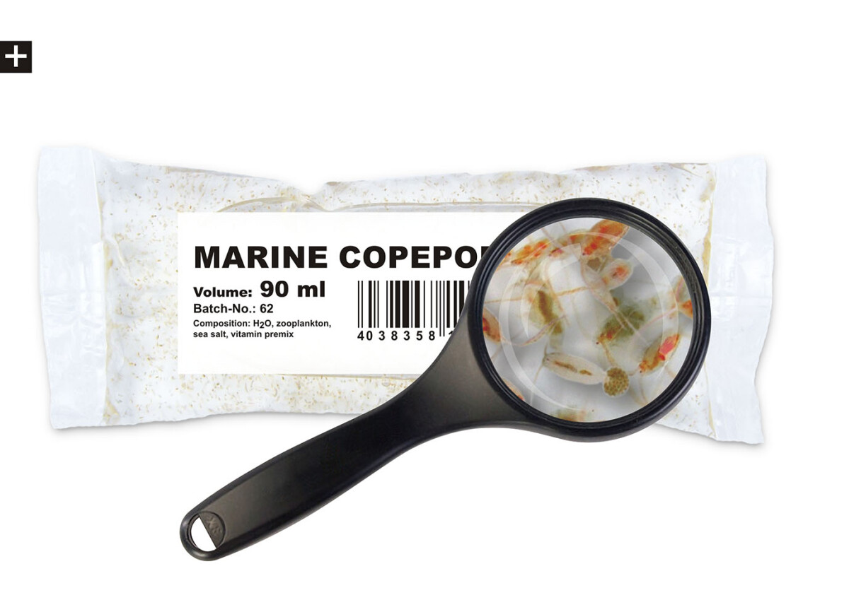 Marine Copepoden 90ml Lebendfutter box