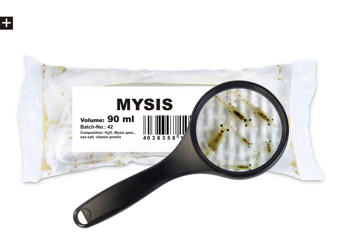 Mysis 90ml Lebendfutter box
