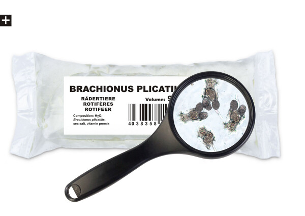 Seewasserrädertierchen (Brachionus plicatilis) 90ml Lebendfutter