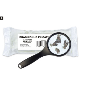 Seewasserrädertierchen (Brachionus plicatilis) 90ml...