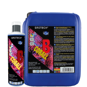 Das NEUE Corall B 500 ml