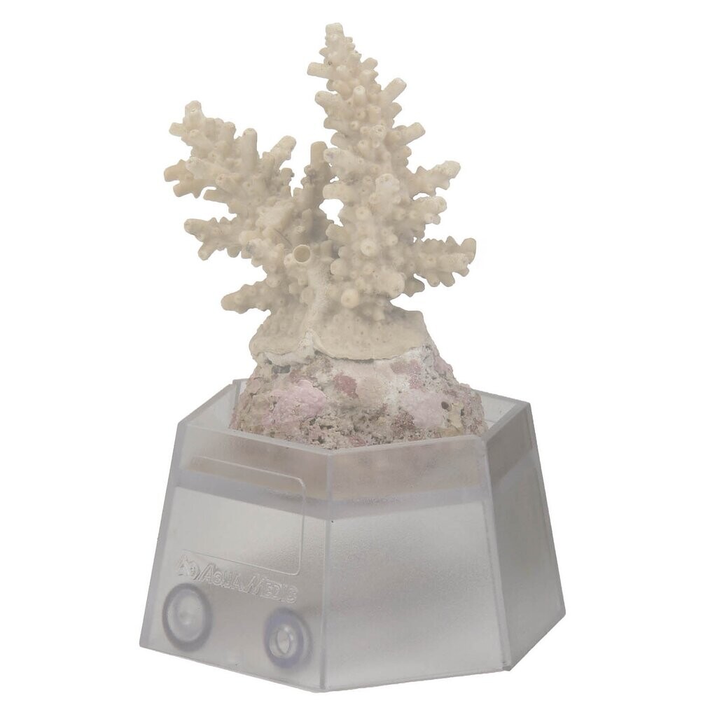 Aqua Medic coral holder - Korallenhalter