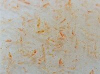 Ocean Plankton 100% natural - echtes Calanus Plankton - 100 ml