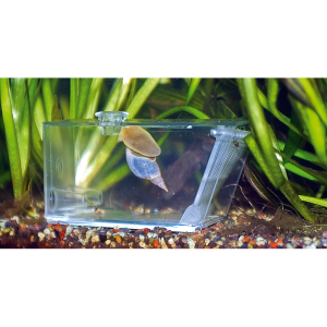 Aqua Medic Trap-pest, Krebsfalle