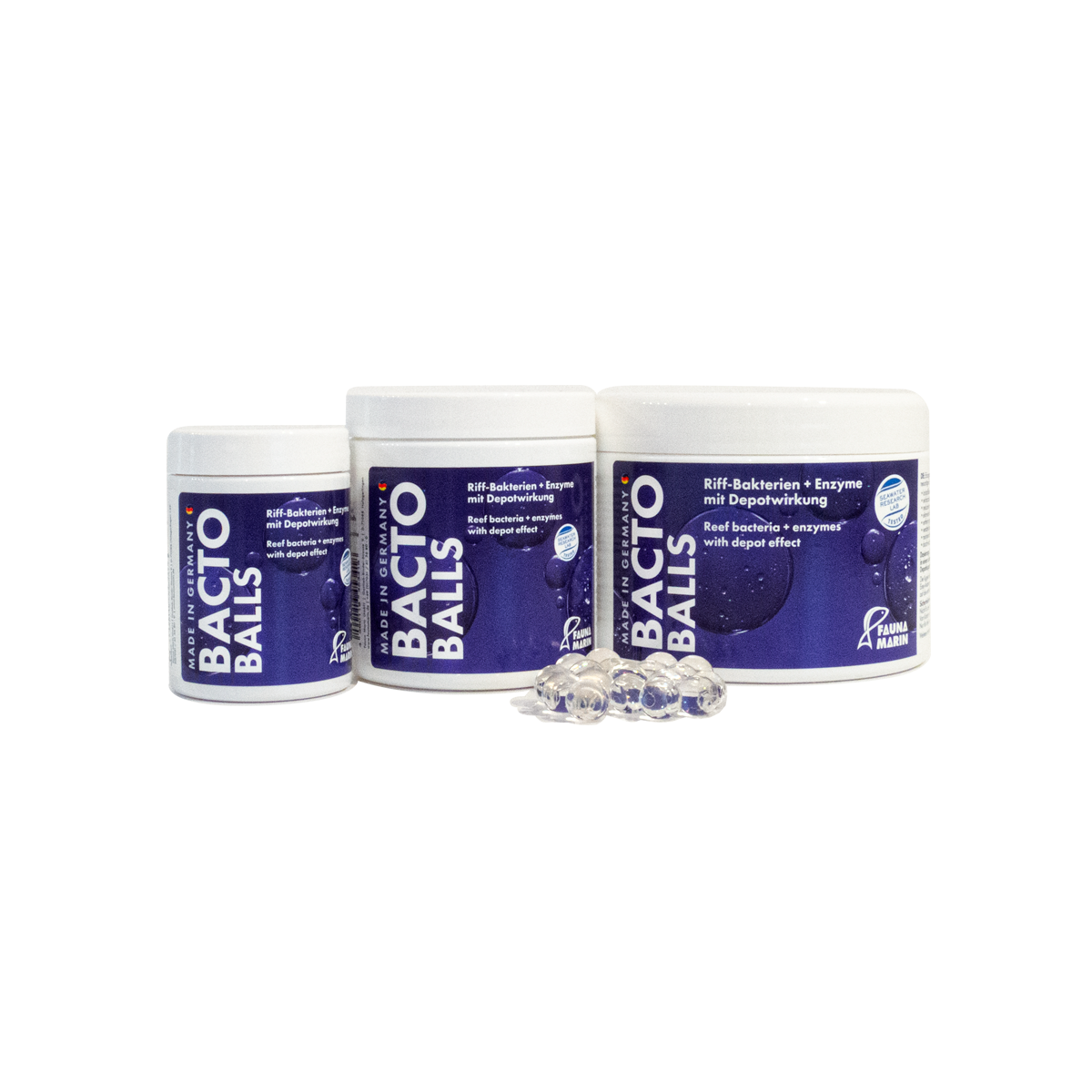 Bacto Balls - Bakterien Kugeln - 100 ml box