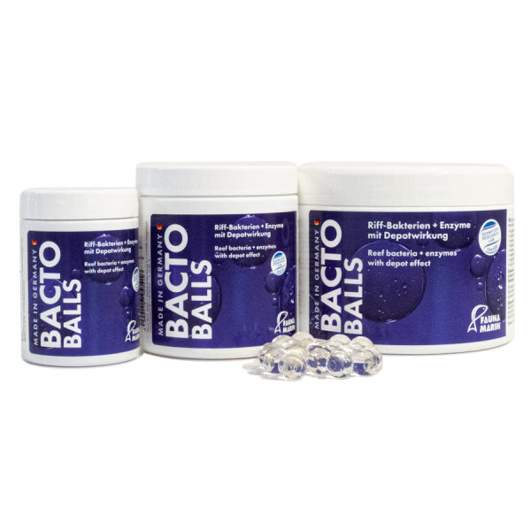 Bacto Balls - Bakterien Kugeln - 100 ml