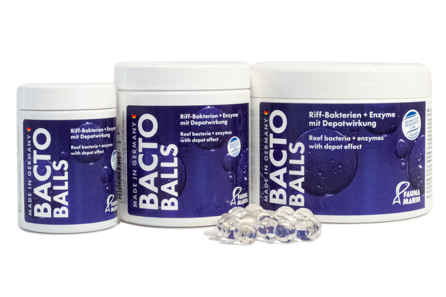 Bacto Balls - Bakterien Kugeln - 250 ml box