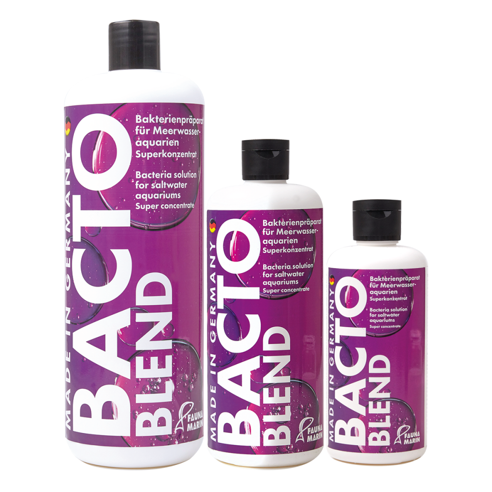 Bacto Blend - Riff Bakterien - 250 ml box