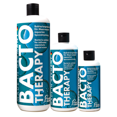 Bacto Therapy - Therapie Bakterien - 500 box