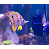 TUNZE Turbelle® nanostream® 6020.000