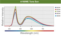 Kessil LED A160WE Tuna Sun