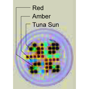 Kessil LED A360X Tuna Sun