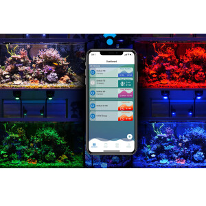 Kessil LED A500X