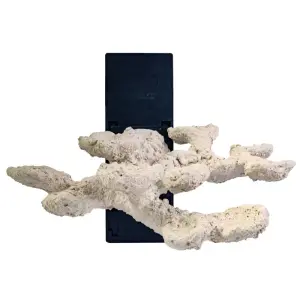 BlueMarine Floating Rock Set hinten