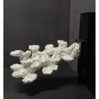 BlueMarine Floating Rock Set rechts