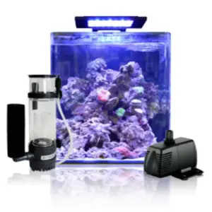 BlueMarine Reef 60 Aquarium