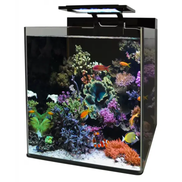 BlueMarine Reef 90 Aquarium