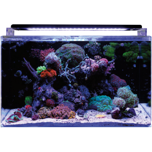 BlueMarine Reef 120 Aquarium