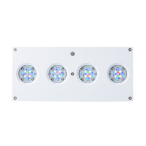 AI Hydra HD 64 LED weiß