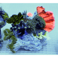 Coral Garden on Rock (mix corals) L-size