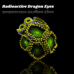 Zoanthus Radioactive Dragon Eye Frag