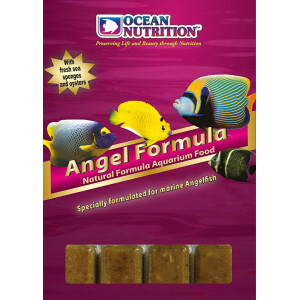 Ocean Nutrition Angel Formula 100 g